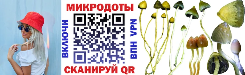 shop состав  Петровск  Галлюциногенные грибы мицелий 